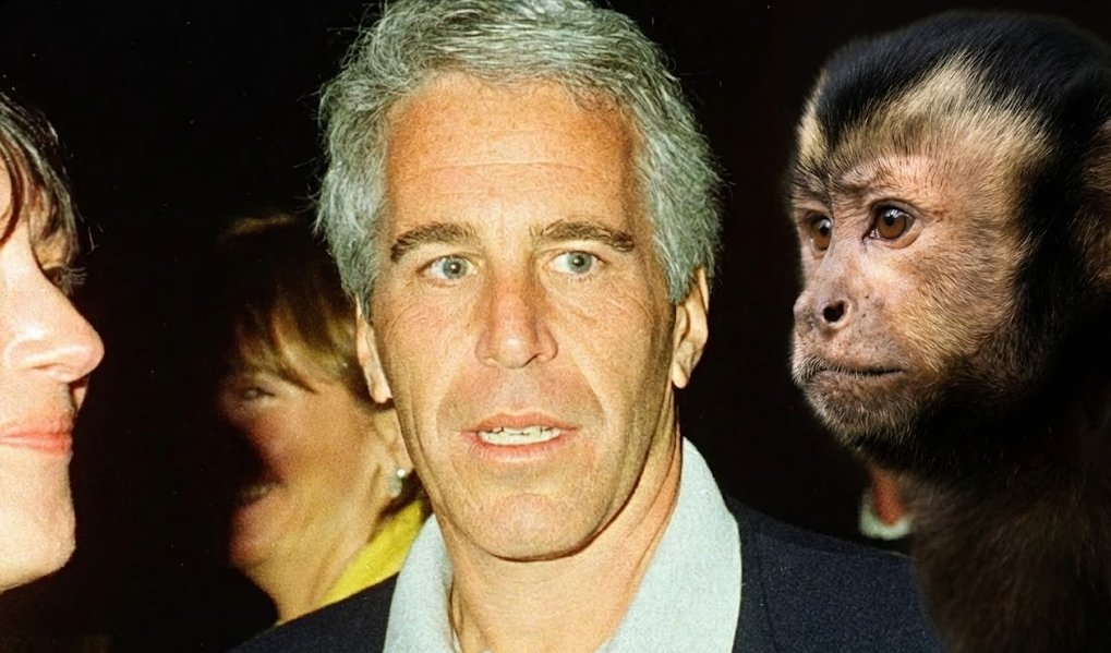 arest0vich's tweet image. 