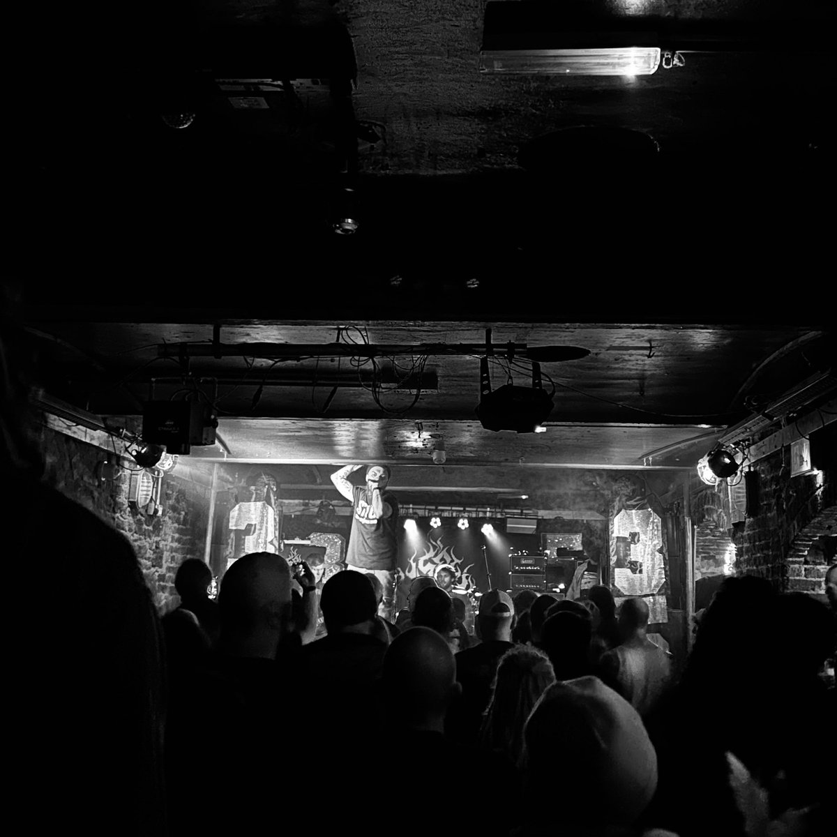 Peter Richard Adams tweet media