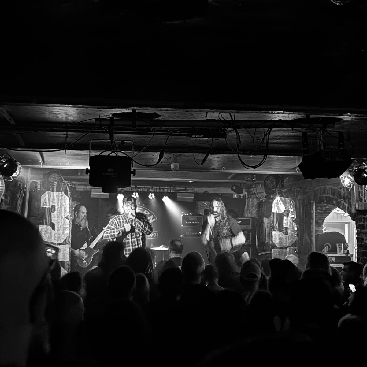 Peter Richard Adams tweet media