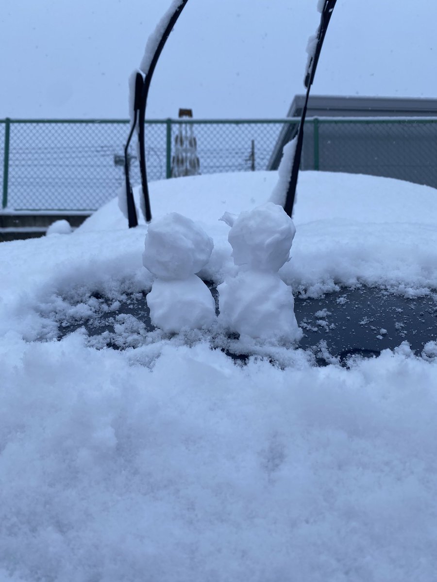 結構積もった⛄️
会社休みにしてくれないかな😞