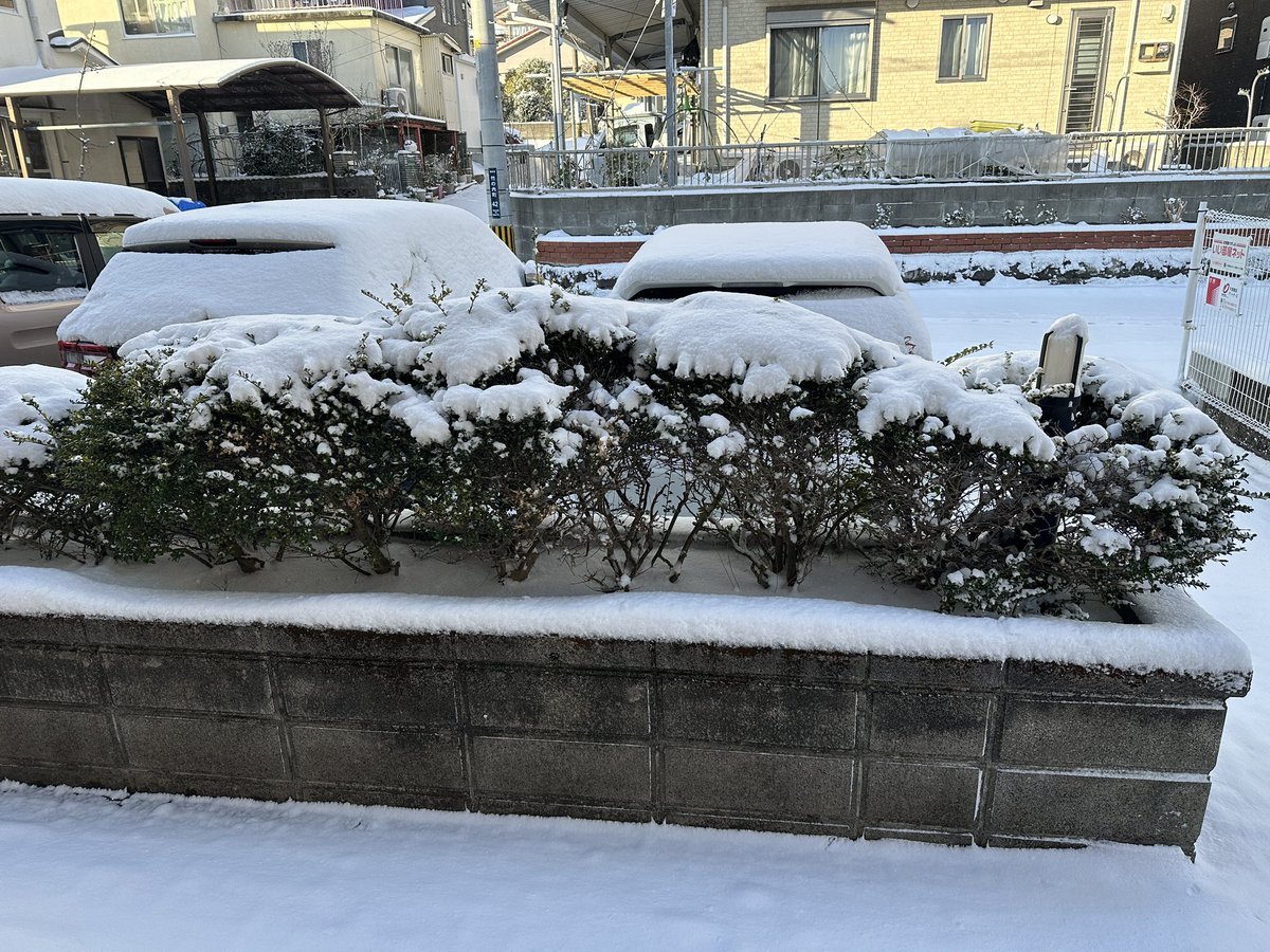 Nissy51's tweet photo. 寒っ⛄️ https://t.co/GlnRWwVVbF