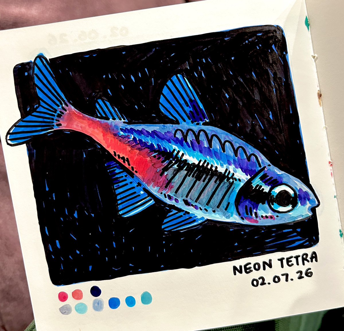 fish february day 7: neon tetra