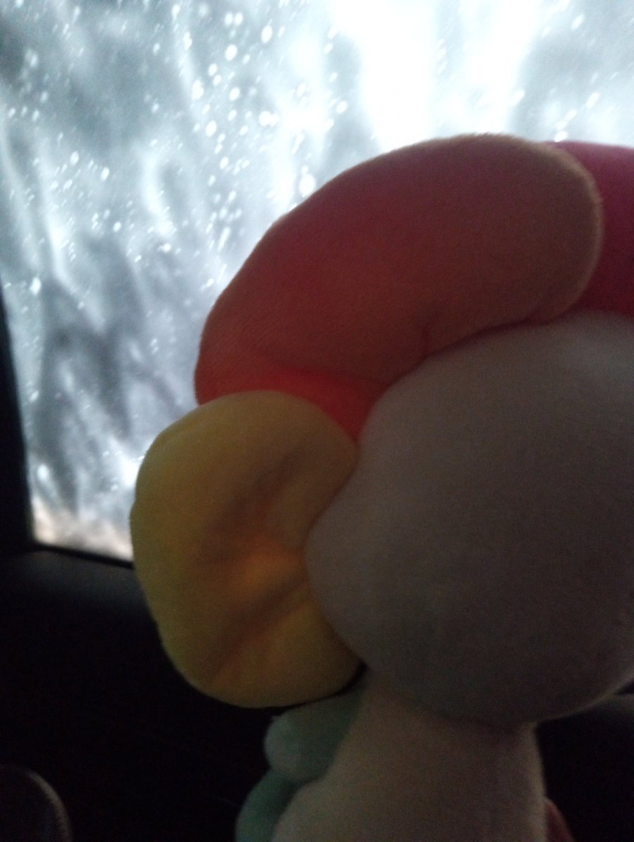 MimiitheYoutube's tweet image. Dandy at the car wash 🥹🥹

#Dandysworld