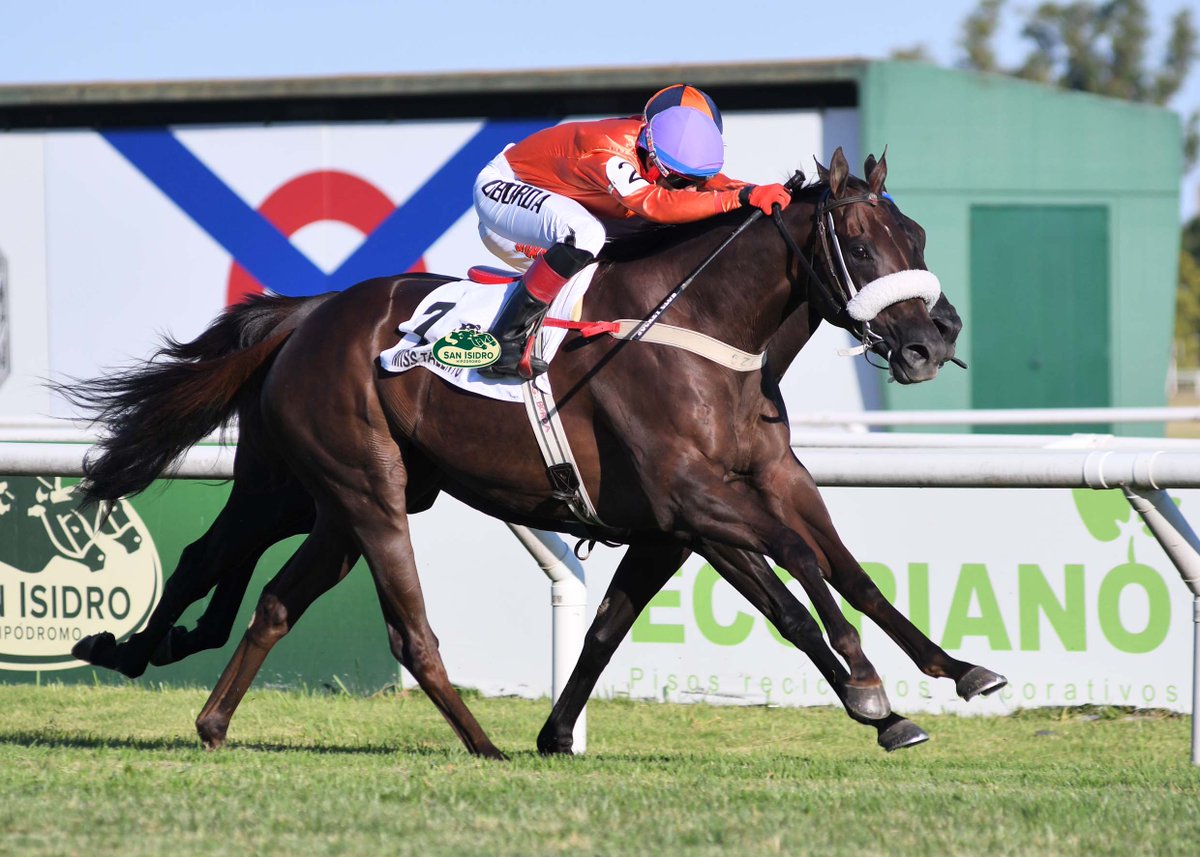 HipSanIsidro's tweet photo. ✅ En el @HipSanIsidro se disputó el #ClásicoJuanShaw (G2-2200m), donde se impuso #MissTalento (5 años, Equal Talent), del #StudLagrange, entrenada por #MaríaÁlvarez y dirigida por #GonzaloBorda. https://t.co/xx1t31s6jY