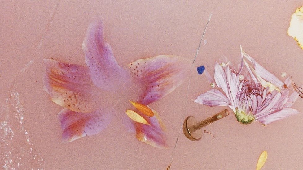 cherry💌 tweet media