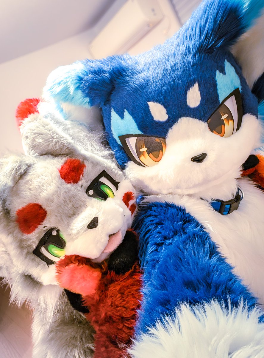 #FursuitEveryday
ありがとー！！またねー！！！
