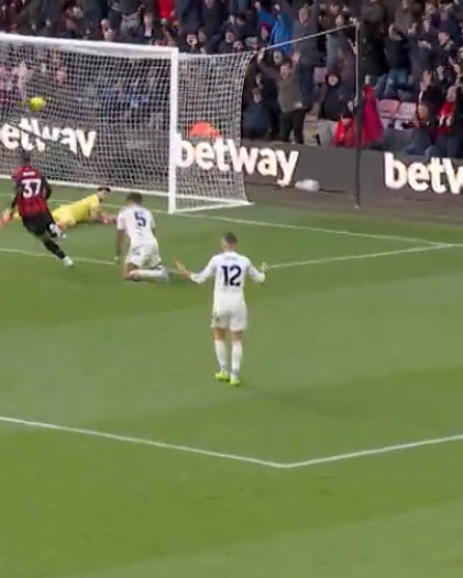 ☔️☔️☔️ tweet media