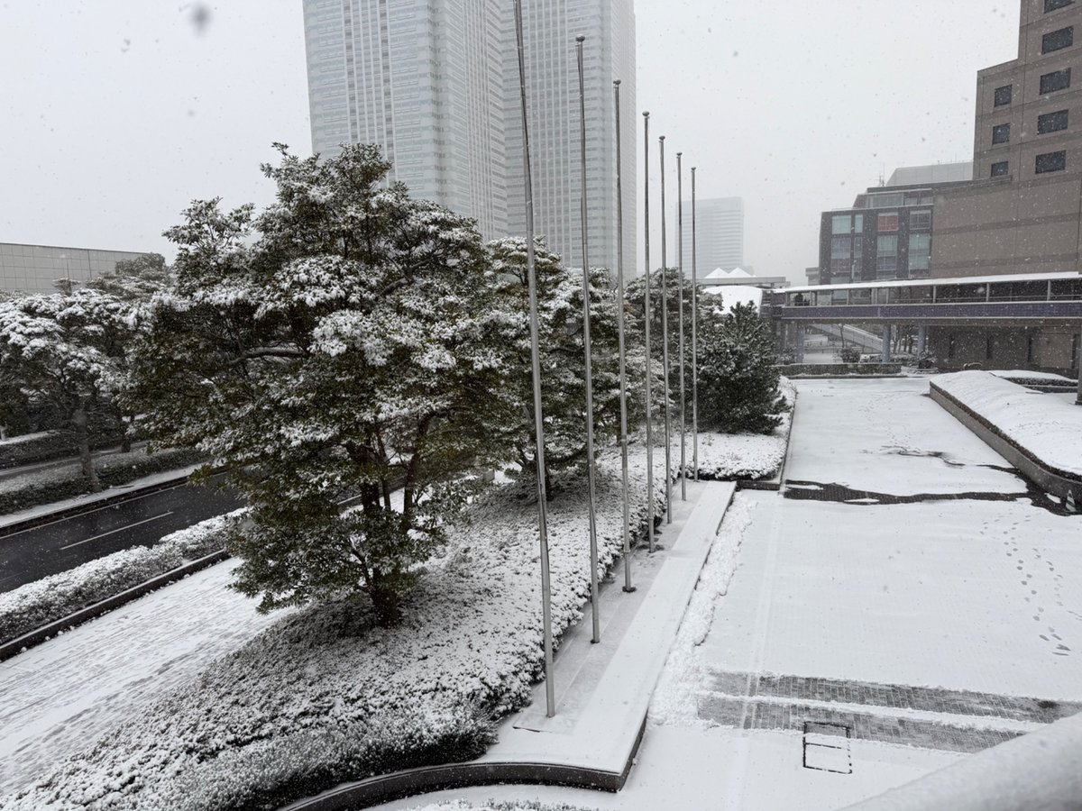 Phat_stuff's tweet image. 幕張到着！　なかなかの雪っぷり！