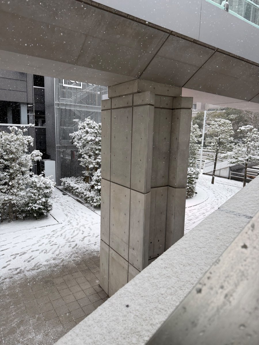 Phat_stuff's tweet image. 幕張到着！　なかなかの雪っぷり！