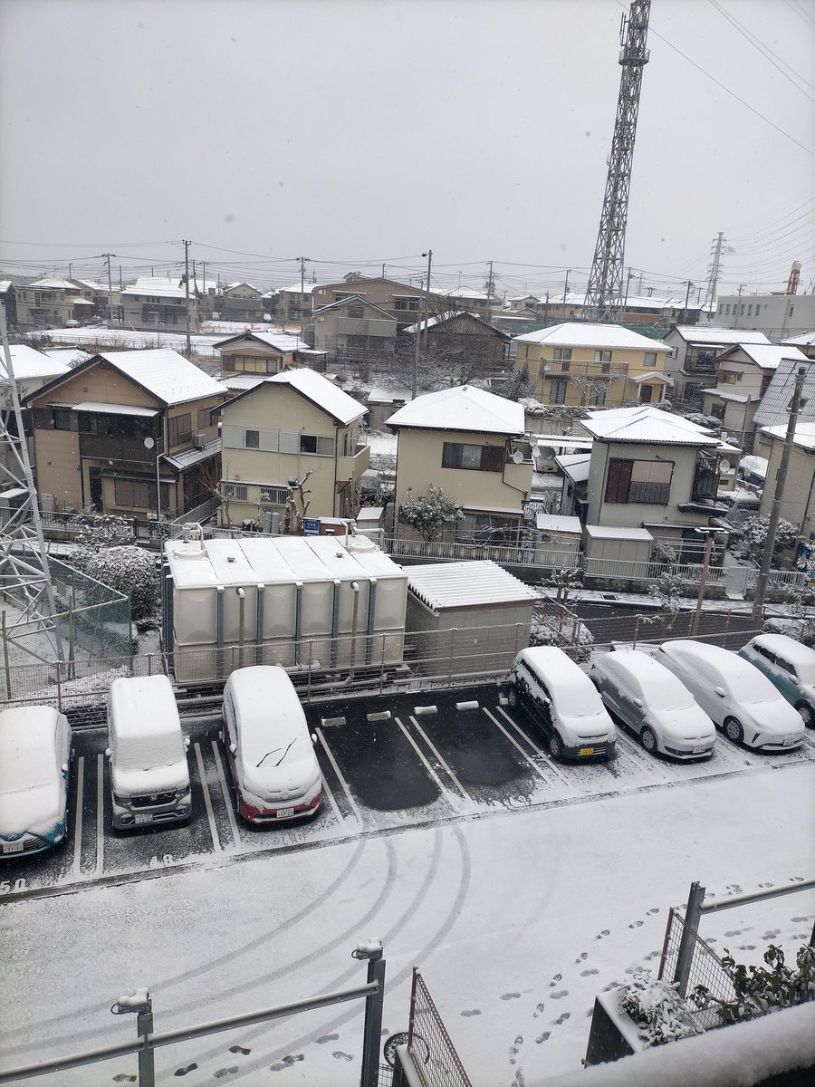 大雪警報ですと🥶。期日前投票しておいて良かった。