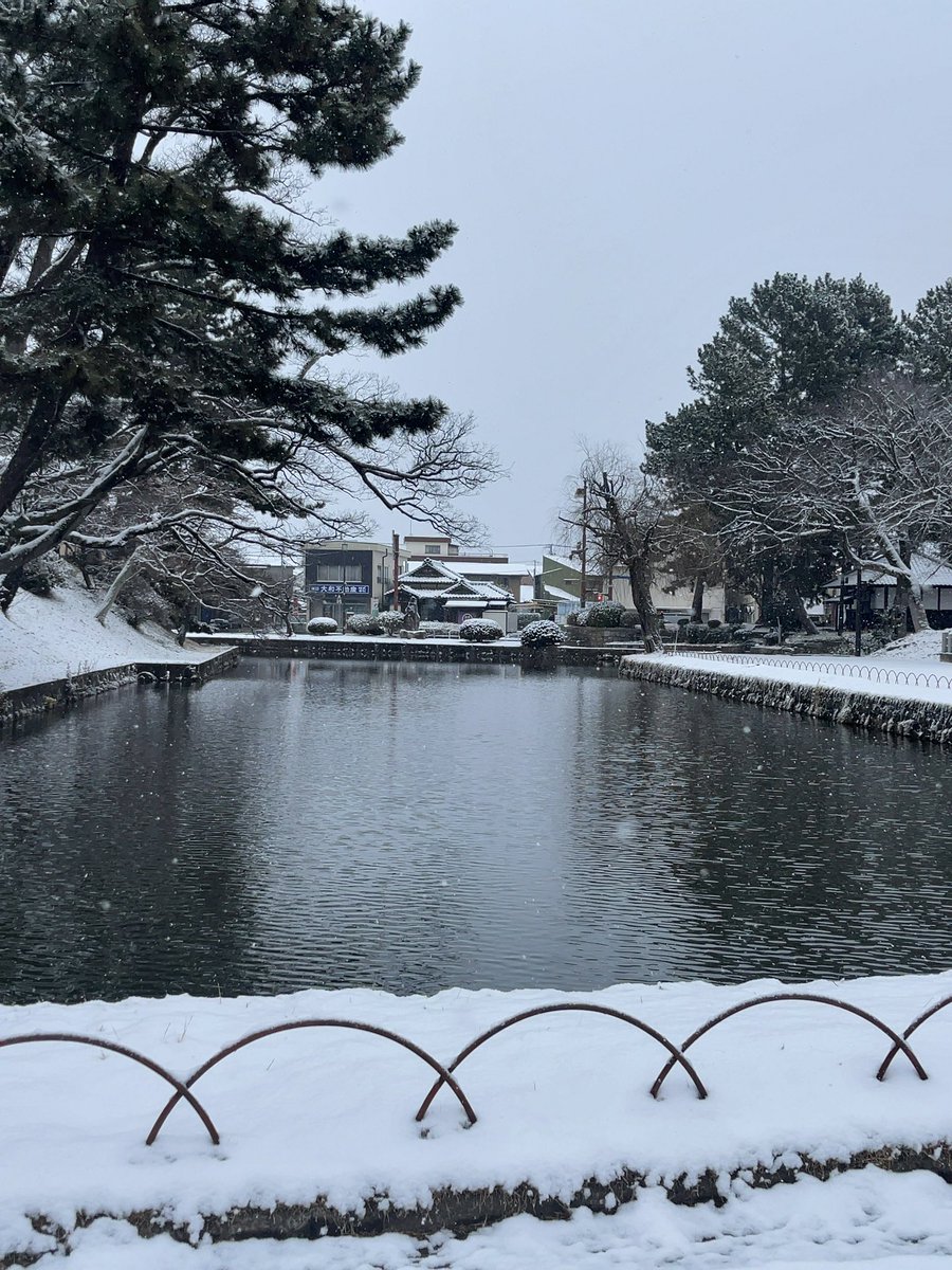 warewarekikaku's tweet photo. 土浦も少し前から急に降り始め❄️

亀城公園、写真撮影貸し切りボーナスタイムです📷 https://t.co/yv31bnp17b