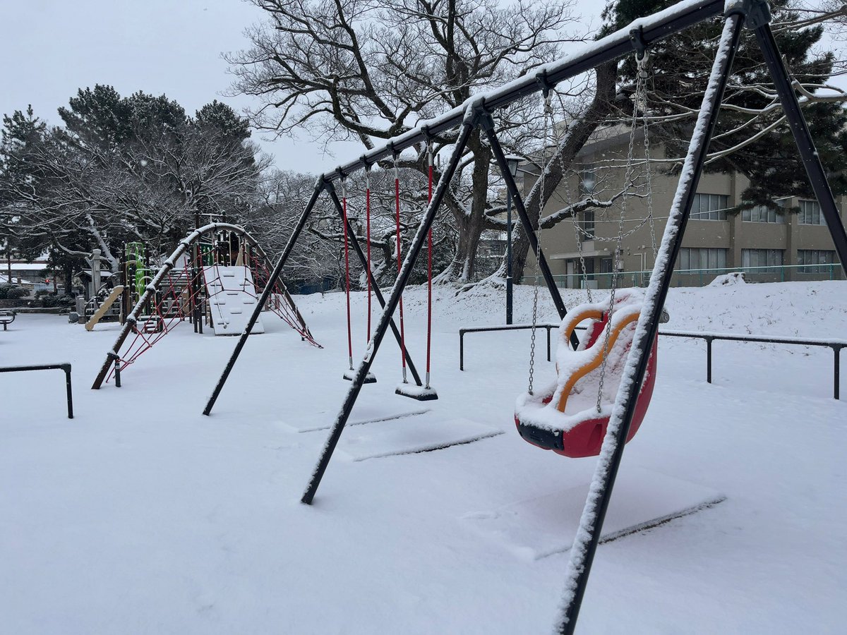 warewarekikaku's tweet photo. 土浦も少し前から急に降り始め❄️

亀城公園、写真撮影貸し切りボーナスタイムです📷 https://t.co/yv31bnp17b