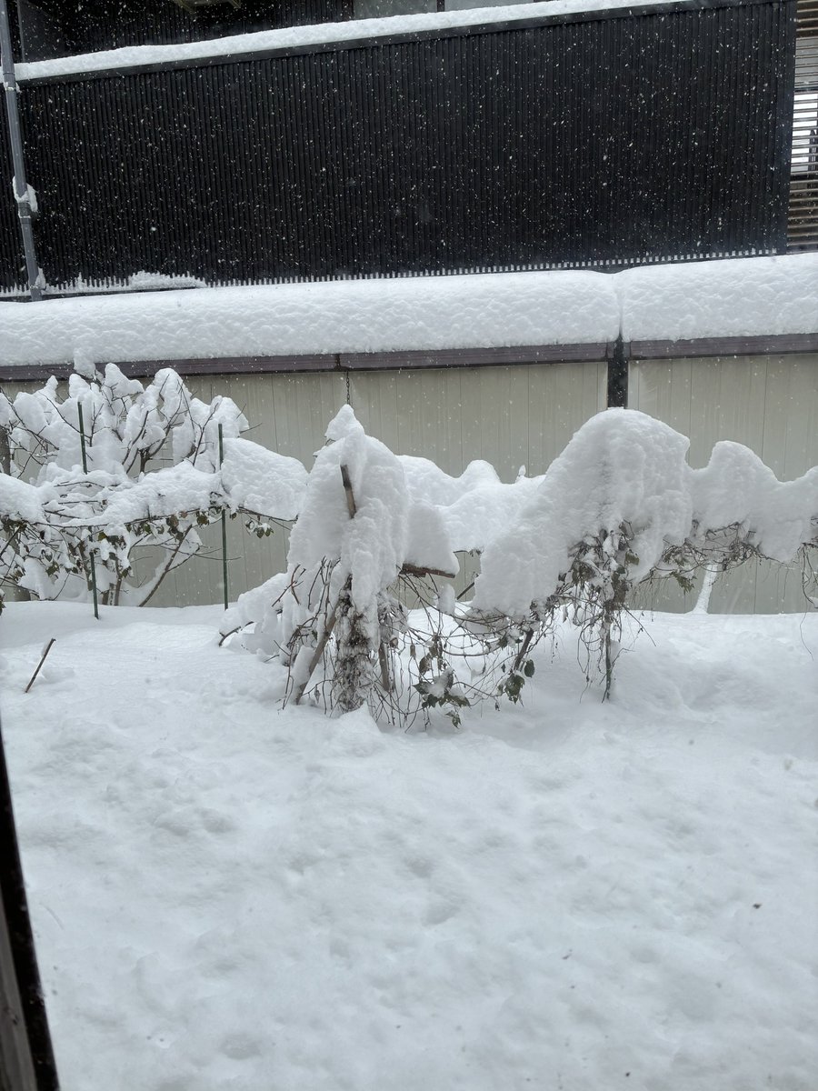 営業やめときます、道路もこれヤバいだろ
1時間延長コースにてなんとか駐車場はきれいにしたけど、すでに積もりつつあり…