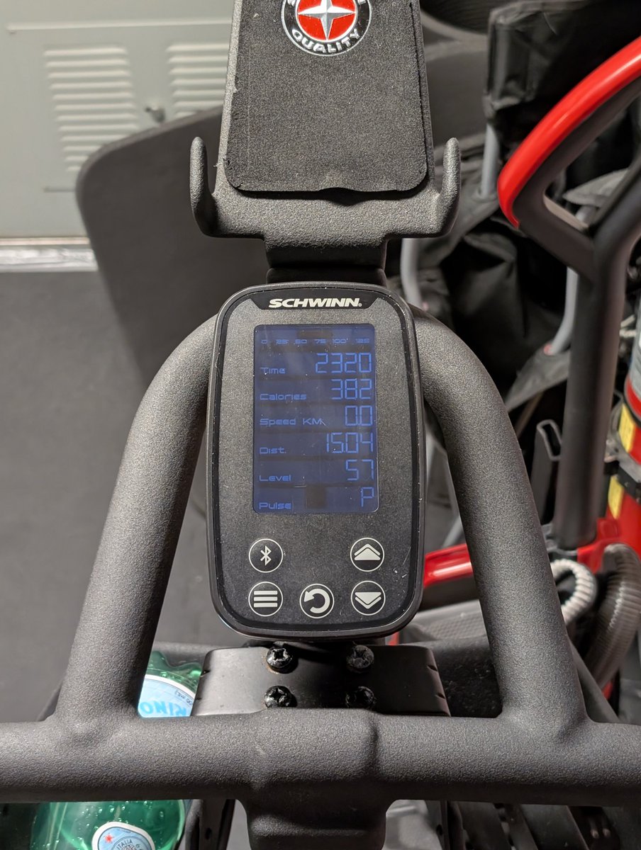 Who is training this bear market?