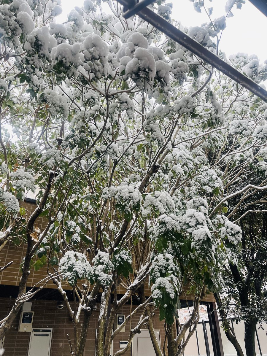 Ruvarashe tweet media