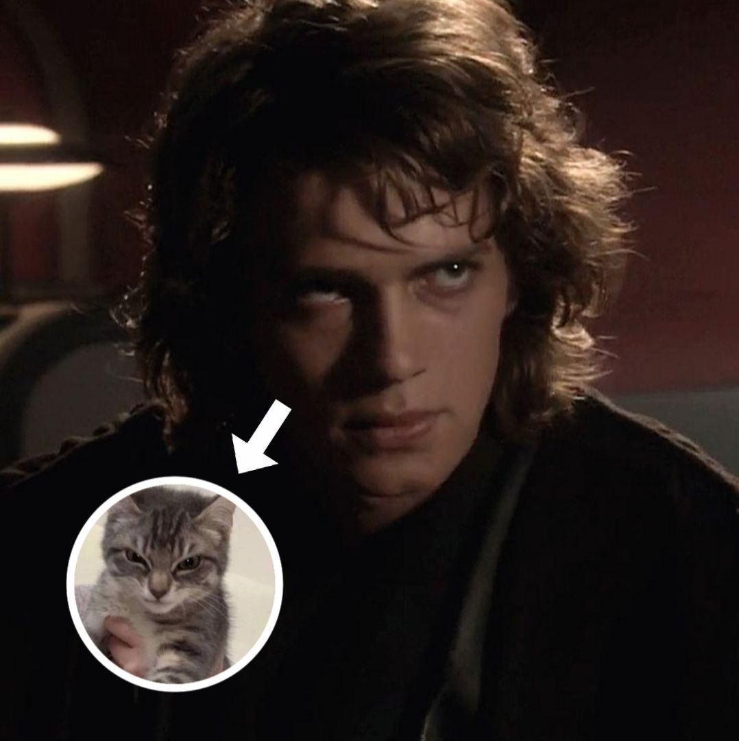 marts 𓍼ོ (@vadersparadise) on Twitter photo 