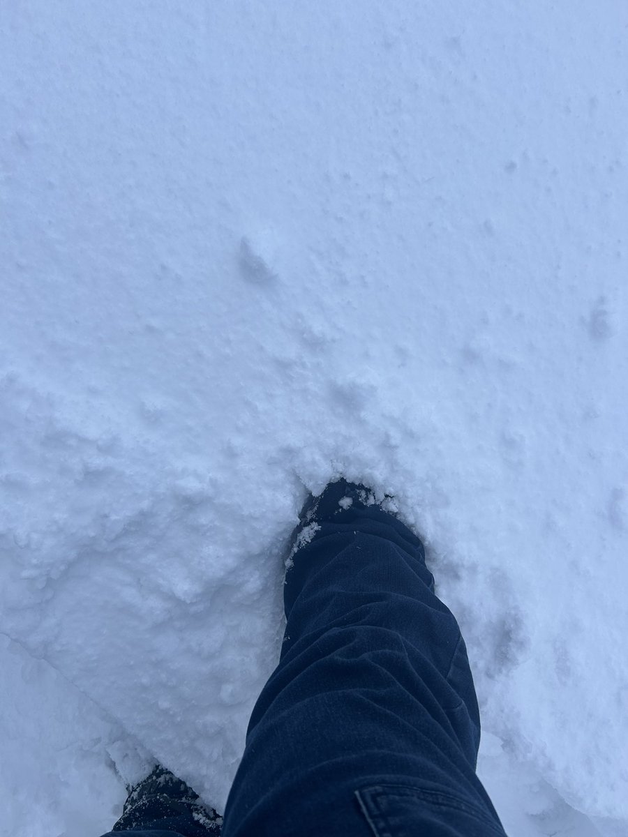 全然ブーツより上でワロタ
