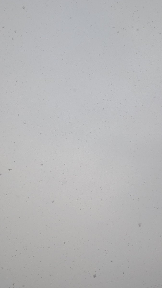 おはようございます😊
朝起きたら世界線が変わって白銀の世界に⛄️✨️
いつも本当にありがとうございます
今日も良い日です✨️