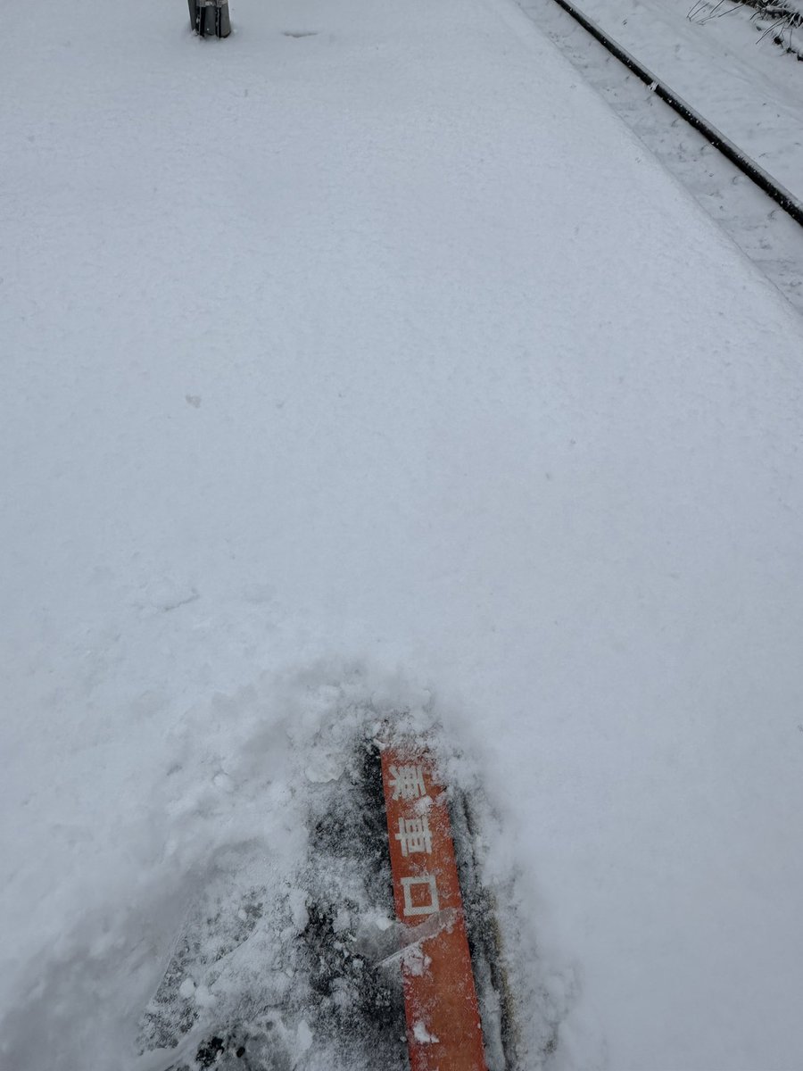 乗車口が見えないので探しました