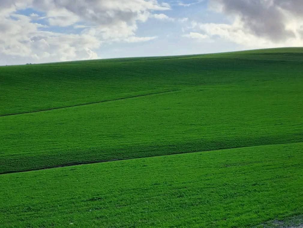 donz.exe 🇲🇦 tweet media