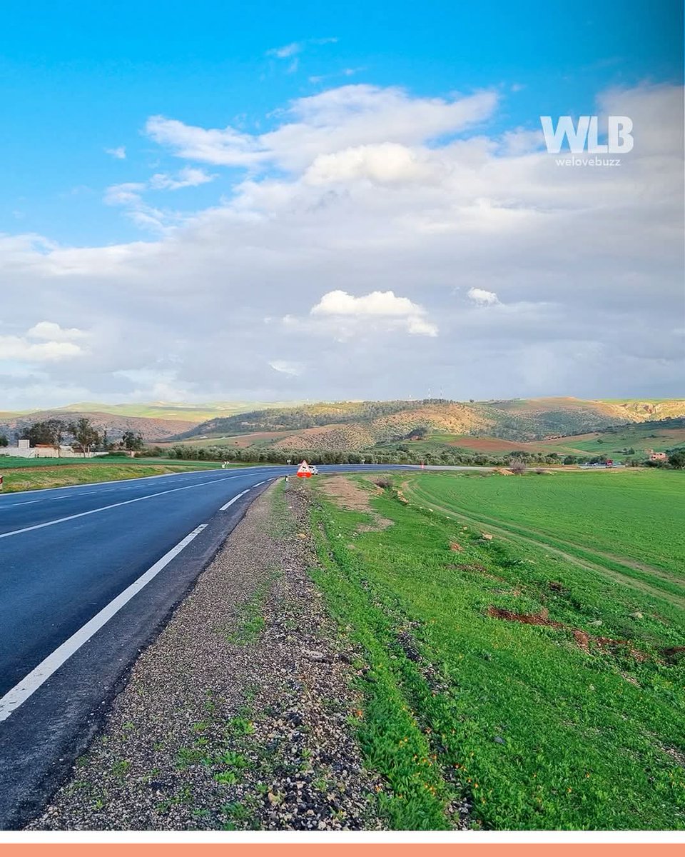 donz.exe 🇲🇦 tweet media