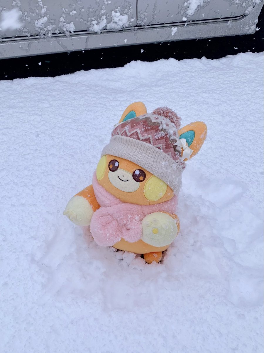 わぁ〜 きれ〜 つめた〜い^ - ^