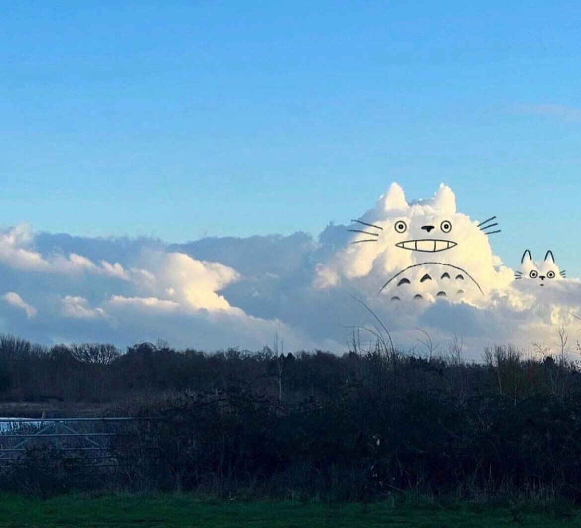 Totoro cloud