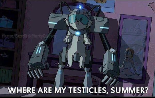 Brunette Bohemian tweet media