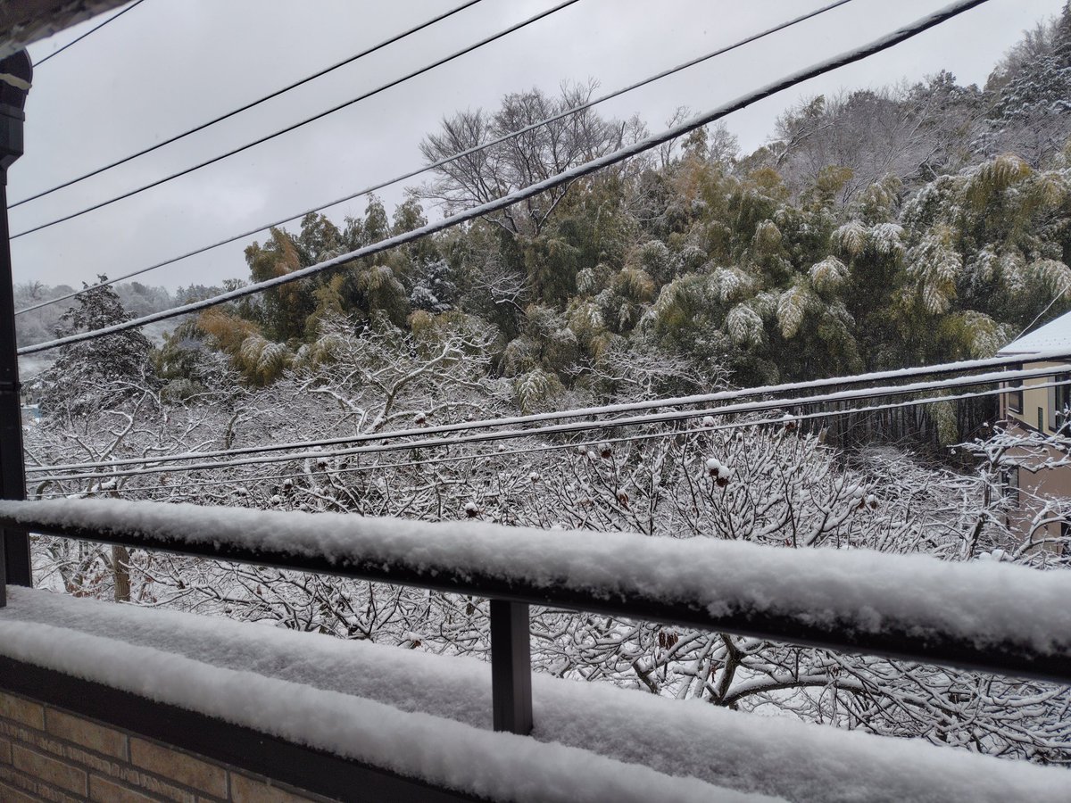 La primera nevada del año