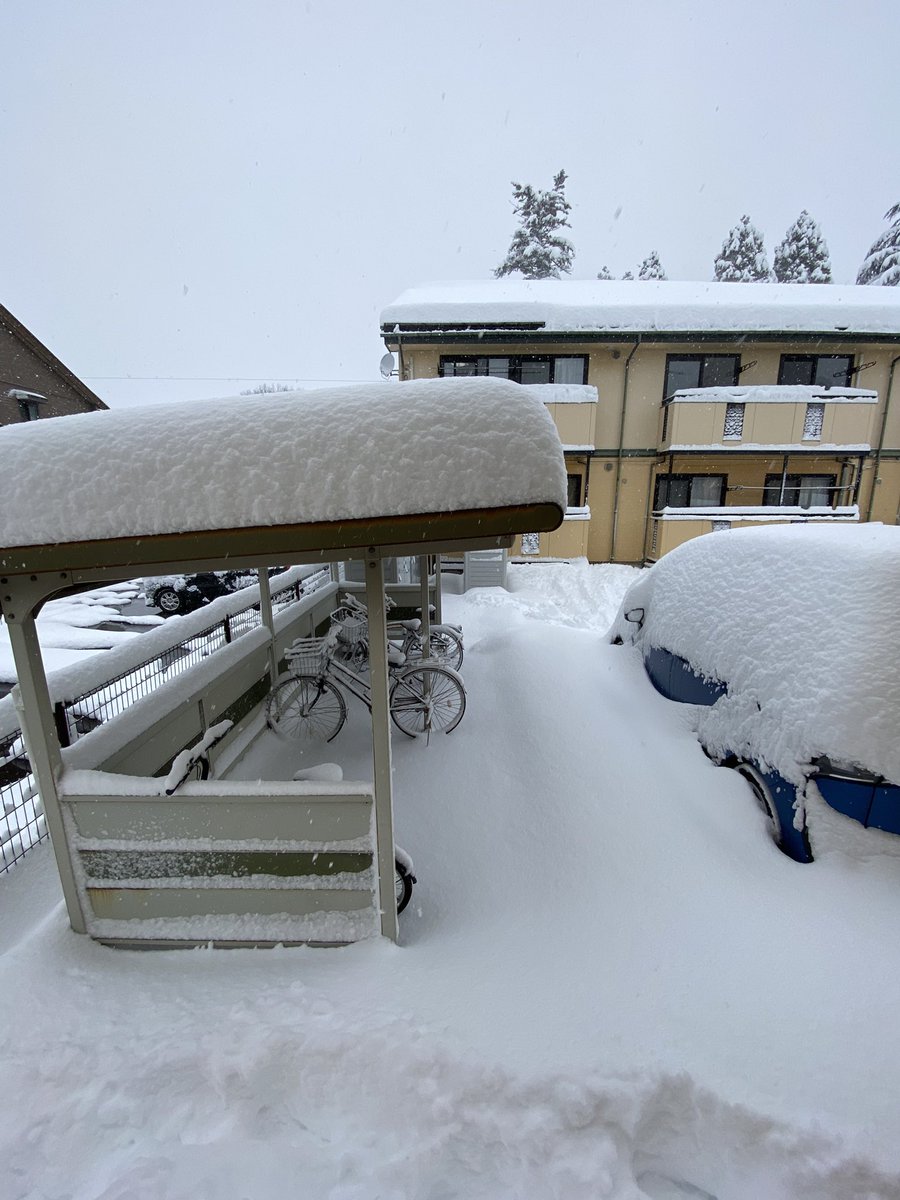 今シーズン最大なのだが(´･ω･｀)