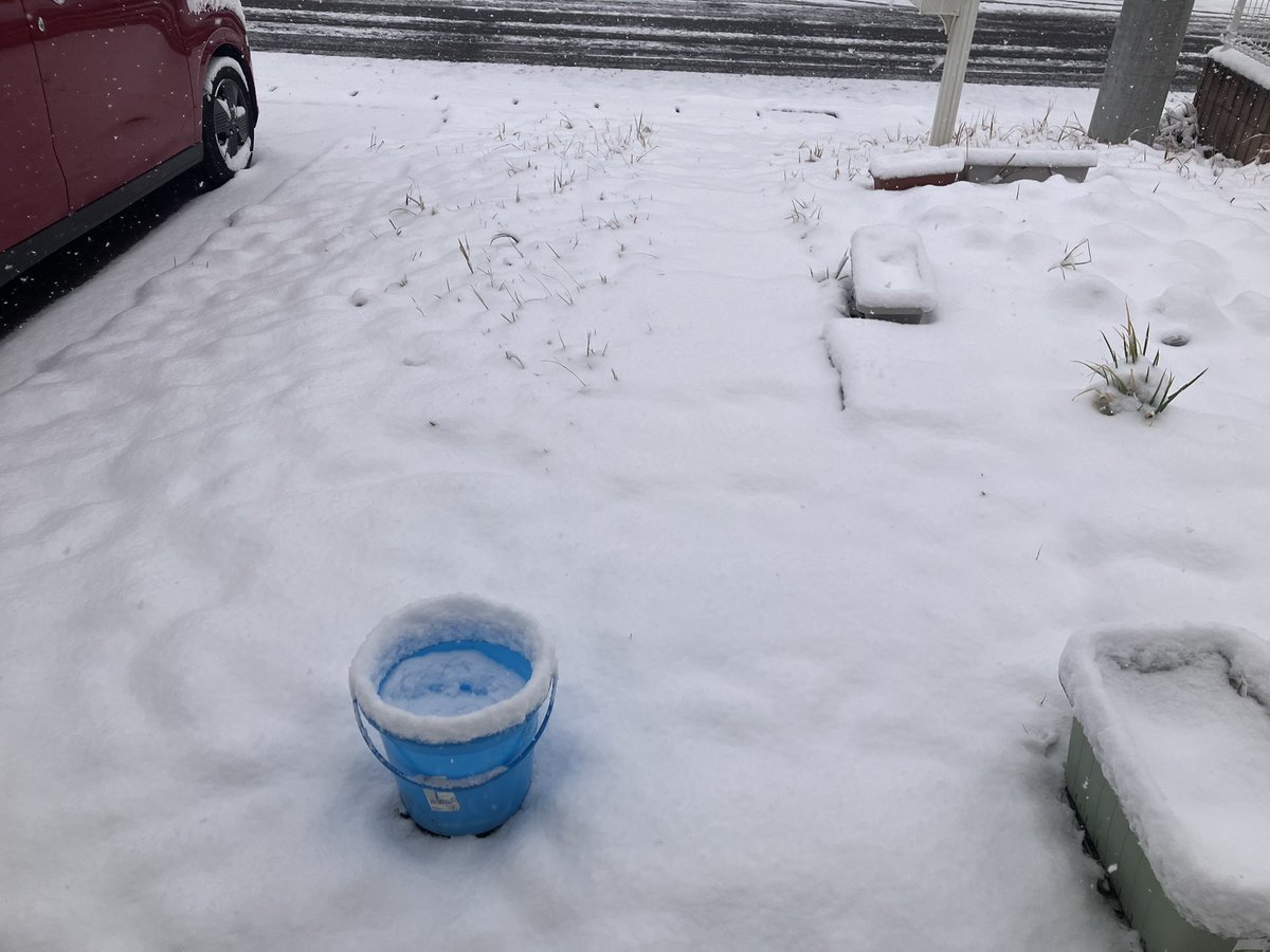 今から投票いってきまーーす