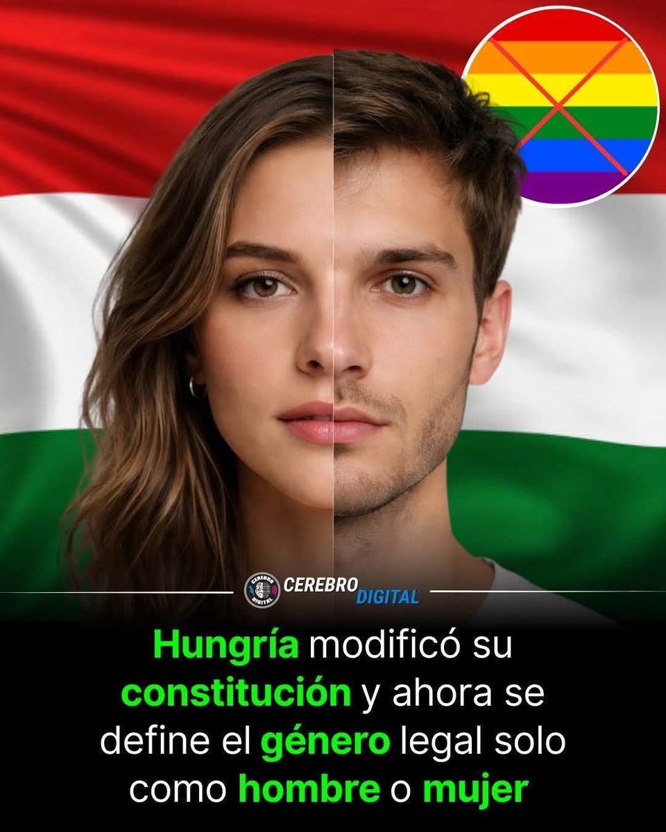 www.frapial.com tweet media