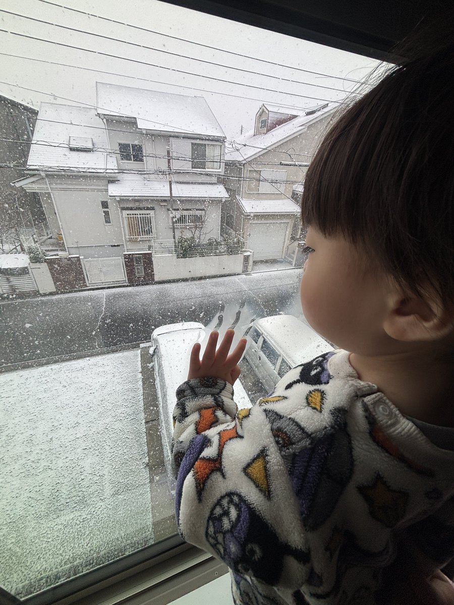 ryokaefu's tweet photo. 積もってるやん
ワイパー上げとかんと https://t.co/PB0vcjG0SR