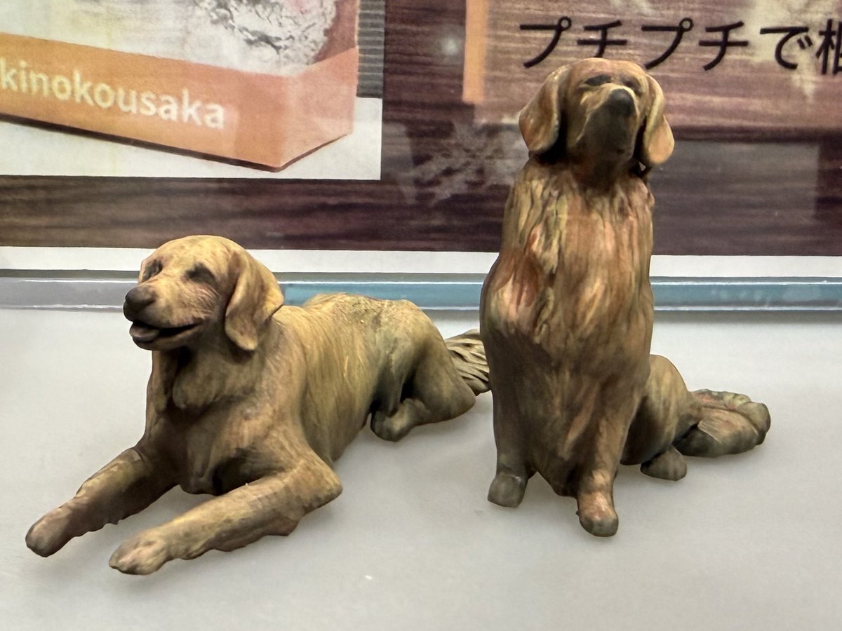 tommy70feb's tweet photo. ワンフェスの展示準備完了しました！
ゴールデンレトリバーのジルちゃん、カエルオーガ売ってます‼︎
2-34-1
#WF2026W 
#娯楽王プラモ塾 https://t.co/grnsjGO40F