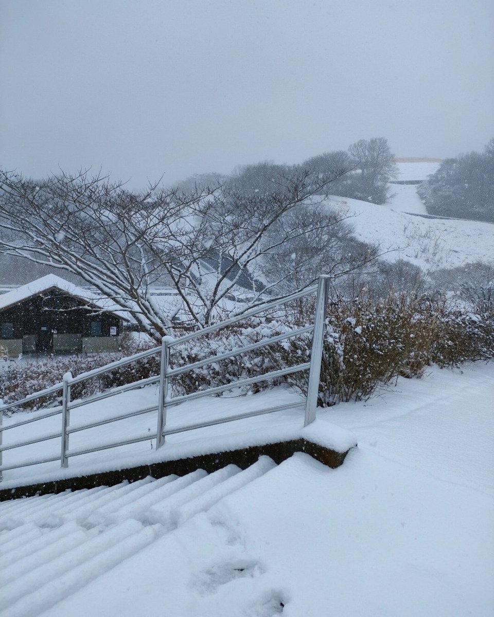 イカゾー (@ikazosi) / Posts / X