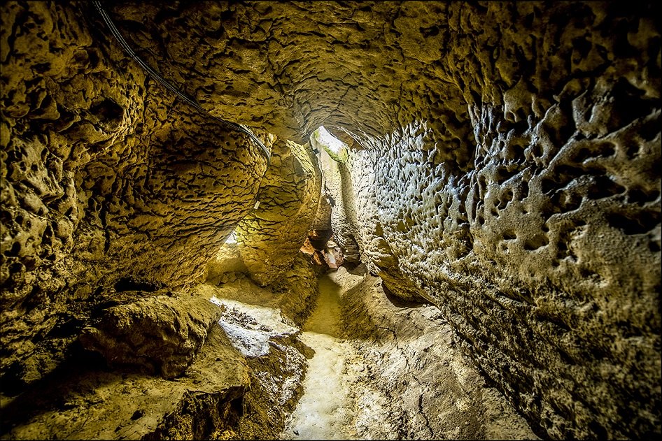 Aquest 15/02 anirem fins a la comarca del #Moianès. Des del poble de Moià fins a Collsuspina passarem per les Coves del Toll. Unes coves prehistòriques que visitarem amb guia, per explicar-nos la formació i història d’aquestes i del seu entorn. #GECASP
caminades.info/activitats/cov…