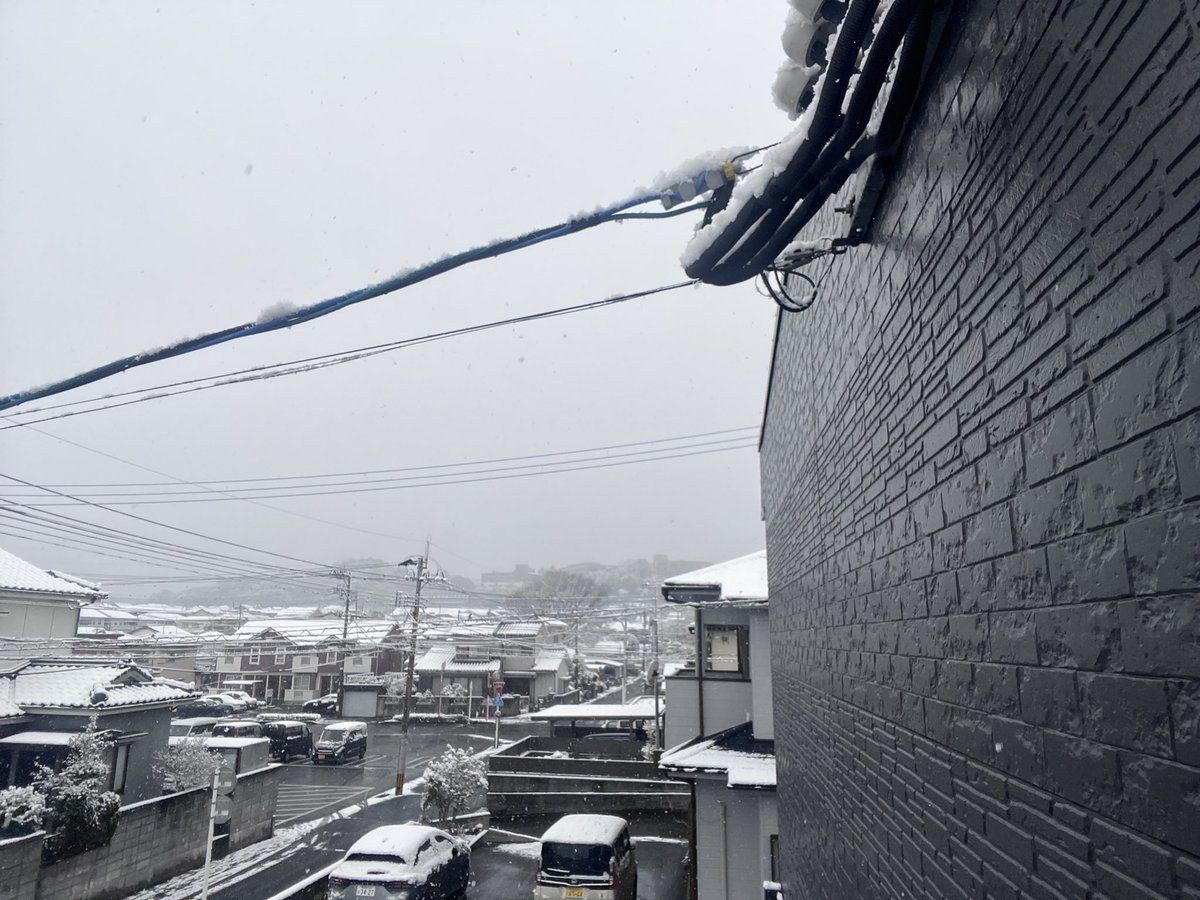 zouri1242's tweet photo. 鹿児島に雪さんやってきた❄️ ✨ https://t.co/o0lJxOFNYK