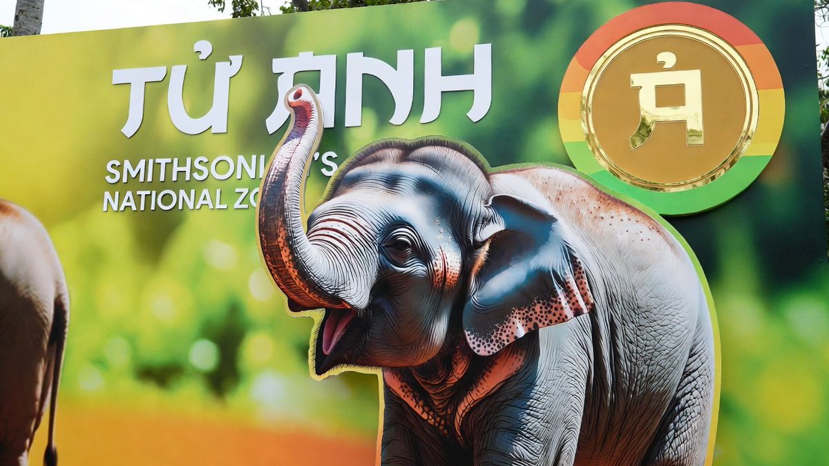 <a href="/greg16676935420/">greg</a> Was it an elephant?