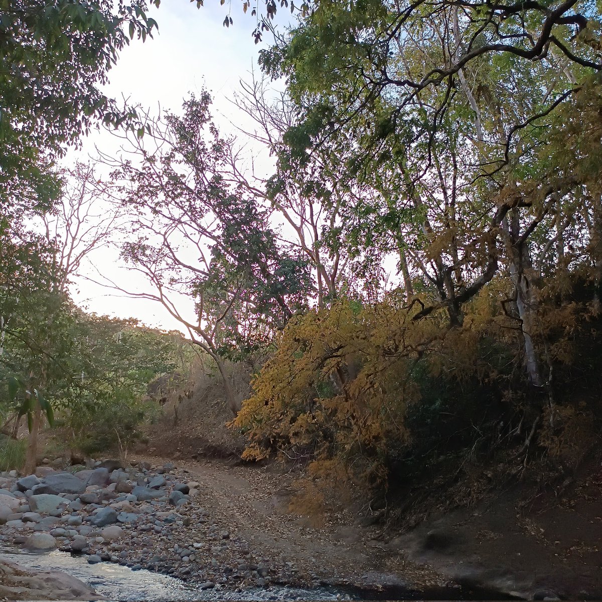 Those places that bring you peace of mind. #nature #CostaRica