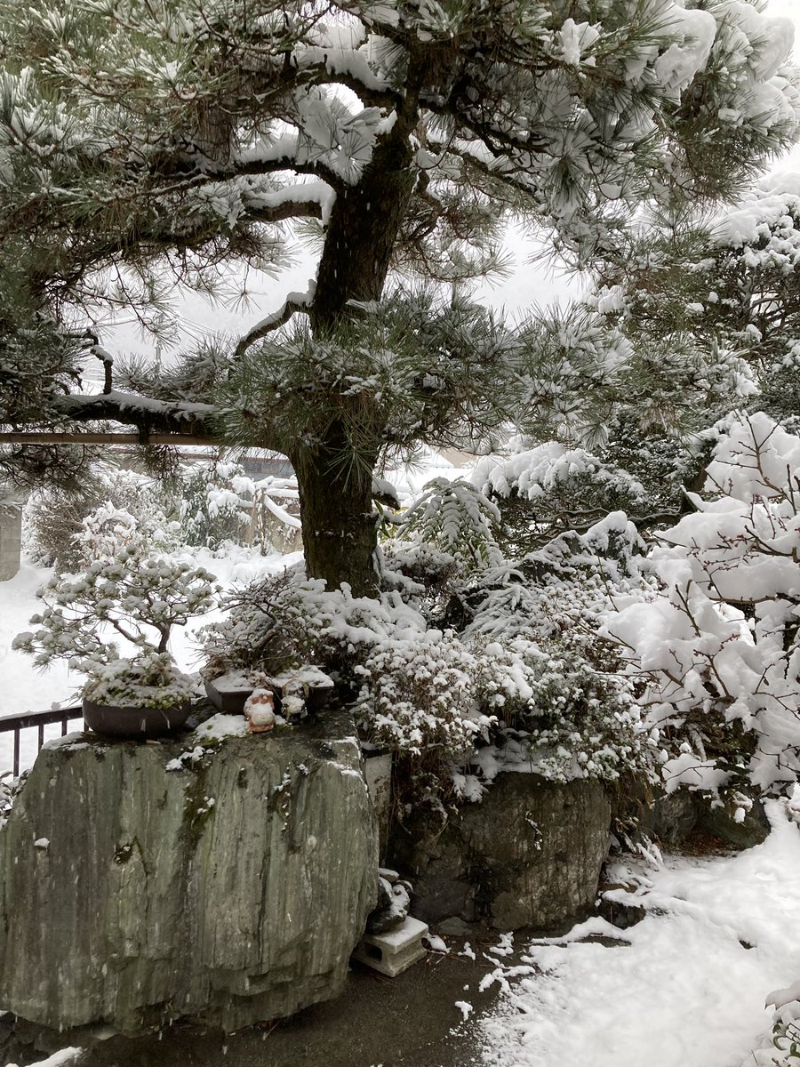 山水画みたいに雪が積もってるうちの実家(今母から送られてきた)