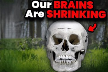 Michele Guarnieri tweet media