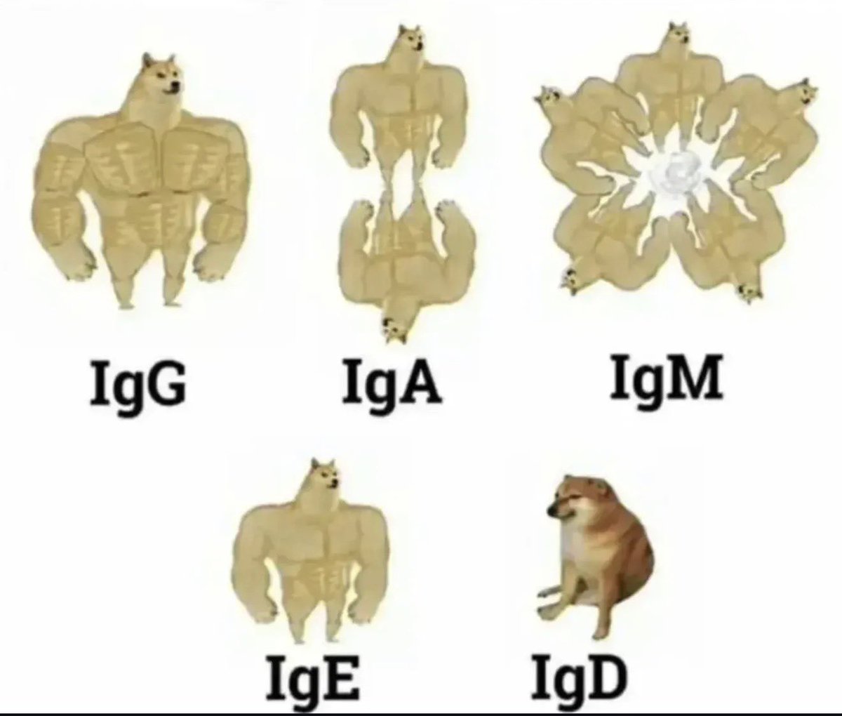 Keith Siau tweet media