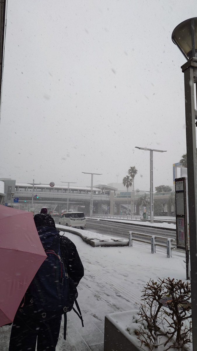 MrttType76's tweet photo. 雪すごいな https://t.co/eodyK7FDjO