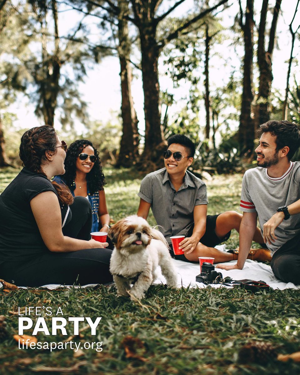 SAFE Project tweet media