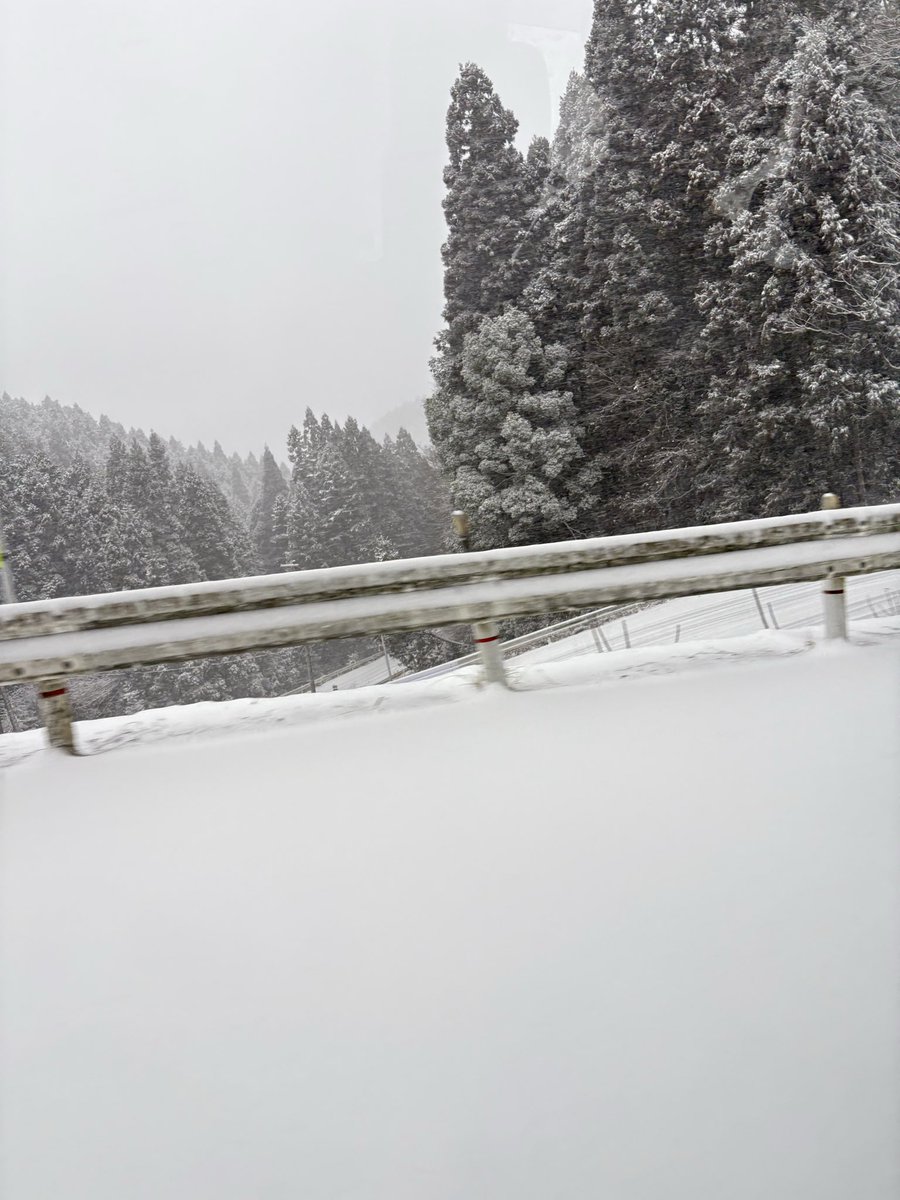 橘リノ🍄🦷 tweet media