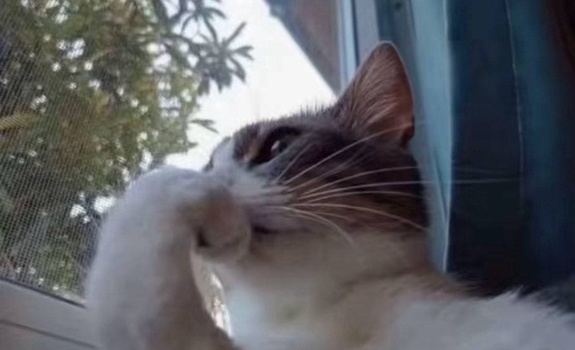 j’suis trop contente que Ambre ai gagné mais flemme qu’elle devienne un produit TF1…. #StarAcademy