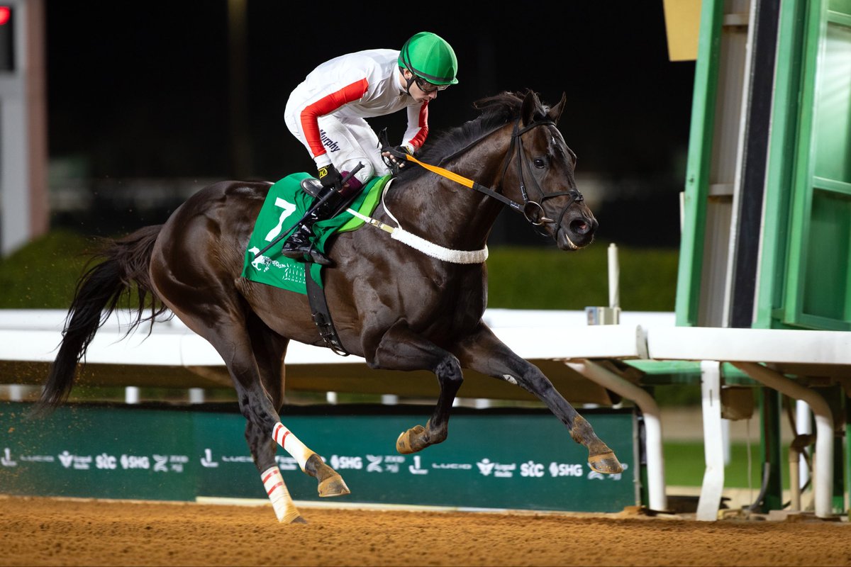 ستار أوف وندر 🇸🇦
ممثل المملكة العربية السعودية في #كأس_السعودية 🏆

• إبن أنكل مو 🐎
• حفيد كونقراتس
• إنتاج الولايات المتحدة الأميركية 🇺🇸
• تحت إشراف المدرب سعد الجنيدي
• ملكية أسطبل أبناء الملك عبدالله بن عبدالعزيز رحمه الله 🤍

🏅 أبرز إنجازاته:
• كأس الملك فيصل بن