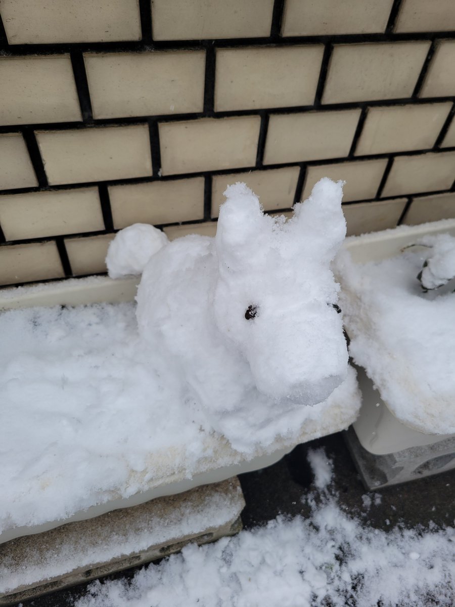 ゆきだるうま‼️