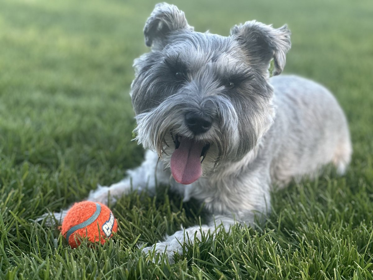 Come visit Moscow. Meet Tilly. Change your life and worldview.