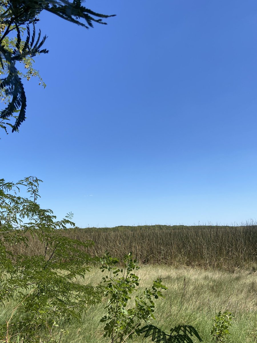 Brrbie! (@brrbie_) on Twitter photo 